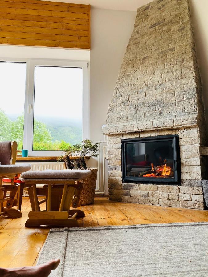 Homy Family House Villa Bran  Dış mekan fotoğraf