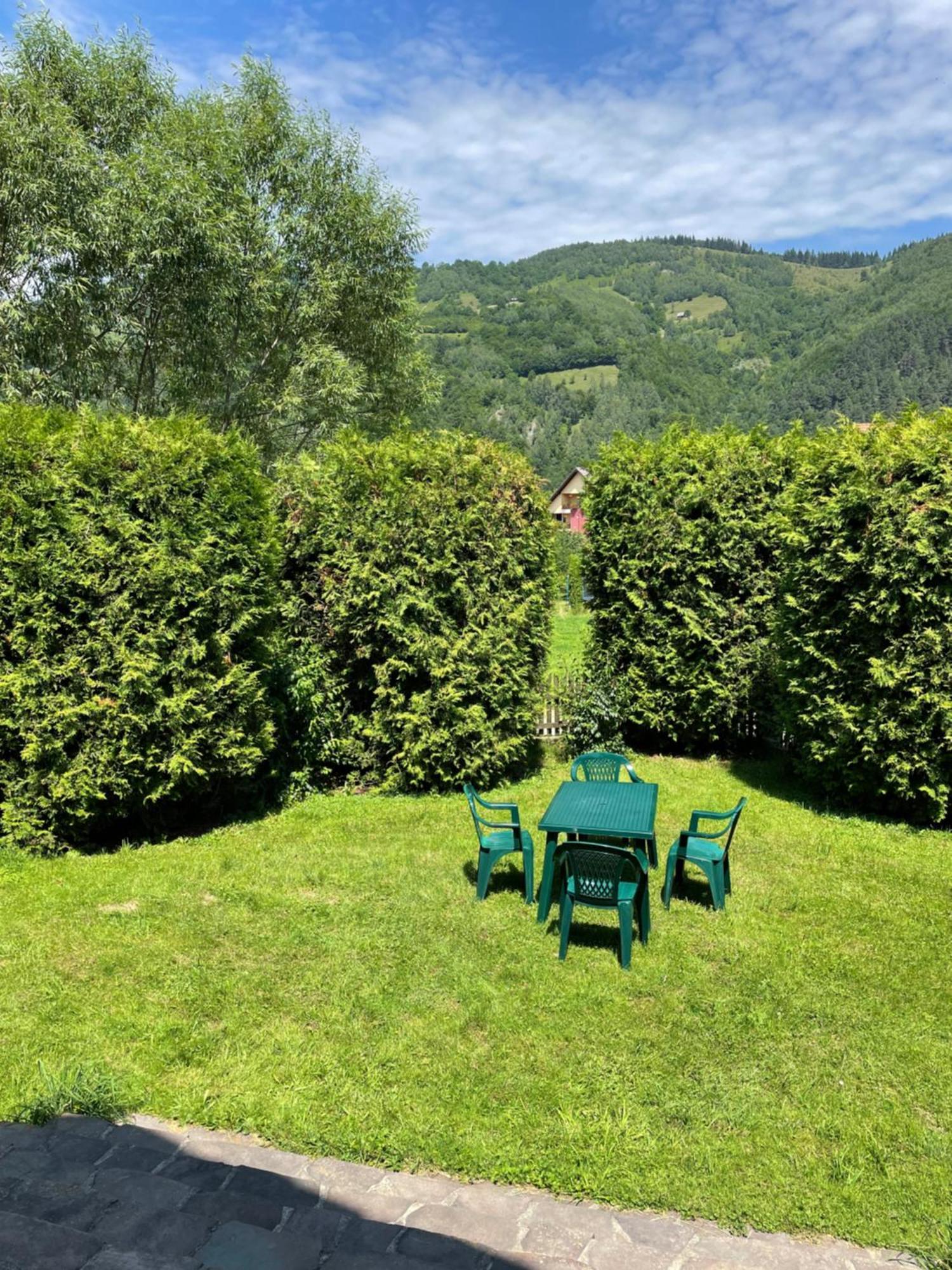 Homy Family House Villa Bran  Dış mekan fotoğraf
