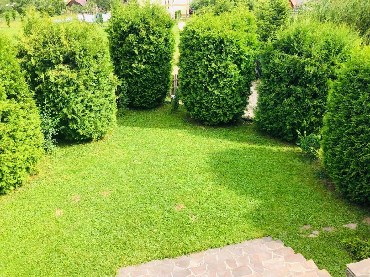 Homy Family House Villa Bran  Dış mekan fotoğraf