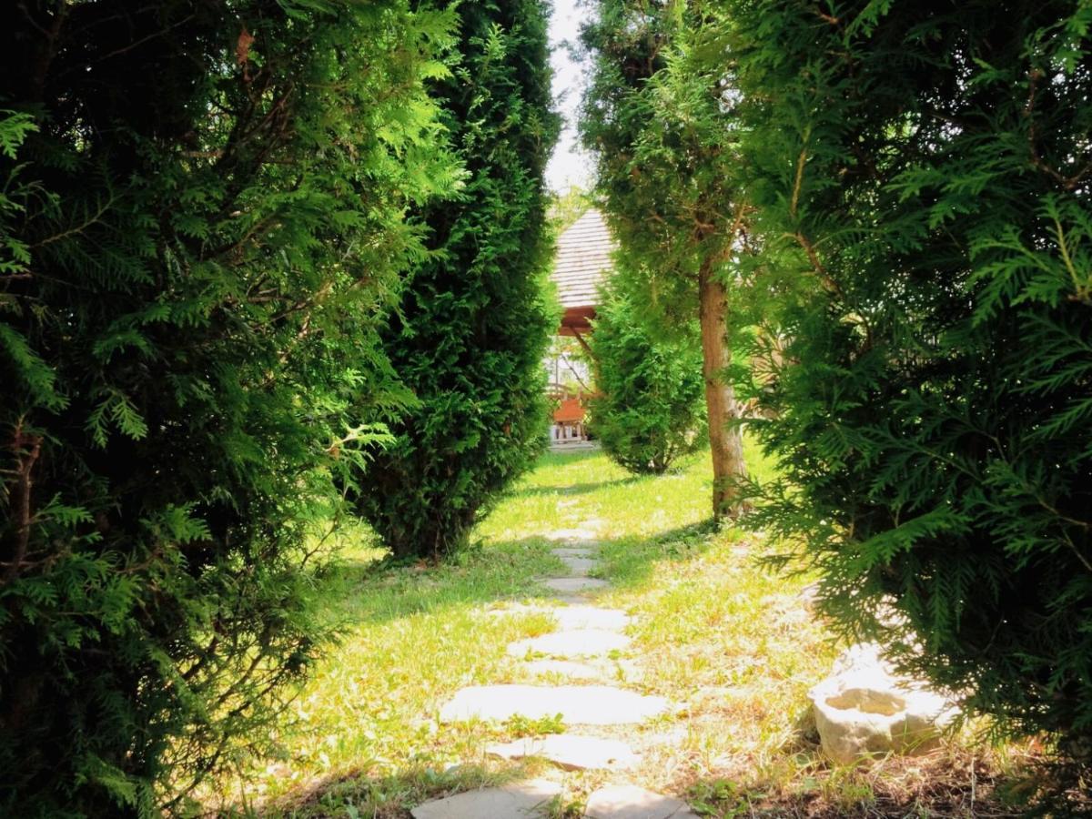 Homy Family House Villa Bran  Dış mekan fotoğraf