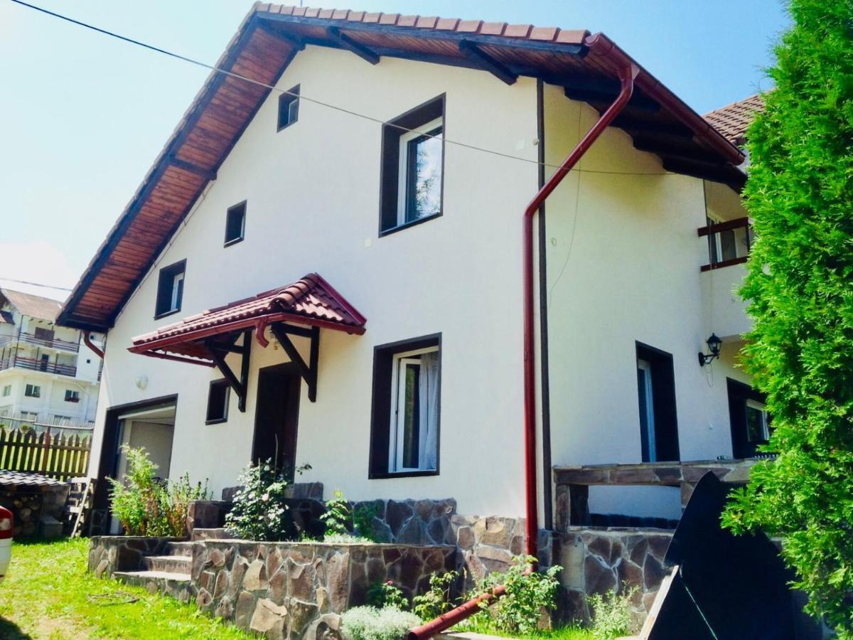 Homy Family House Villa Bran  Dış mekan fotoğraf